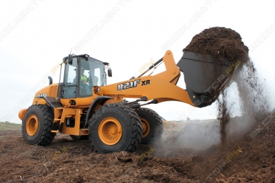 Case 821F [2]