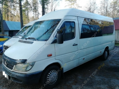 Sprinter 313 [4]