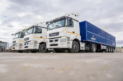Тонар-95232/9585 [4]