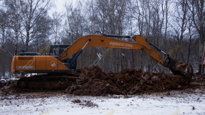 Case CX220C NLC [2]