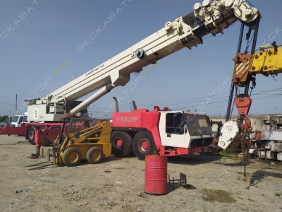 73250 [1]
