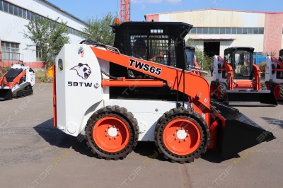 SDTW TWS65 [1]