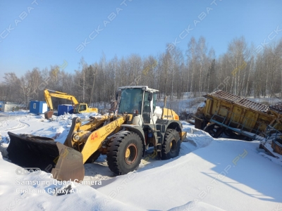 Liebherr L 544 [1]
