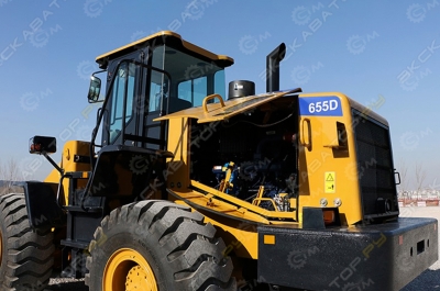 SEM 655D [1]