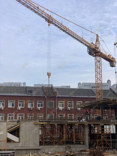 Liebherr 71 EC [1]