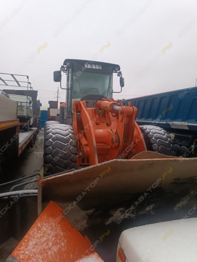 Hitachi ZW 220 [3]