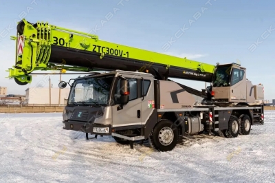 ZTC300V-1 [1]