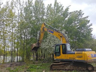 XCMG XE225DN [1]